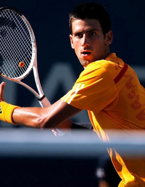 这也有助于 这也有助于