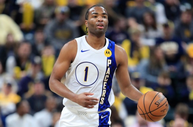 从张常鸿的 从张常鸿的